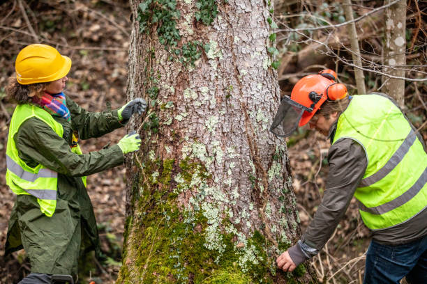 Best Fruit Tree Pruning  in Fort Valley, GA