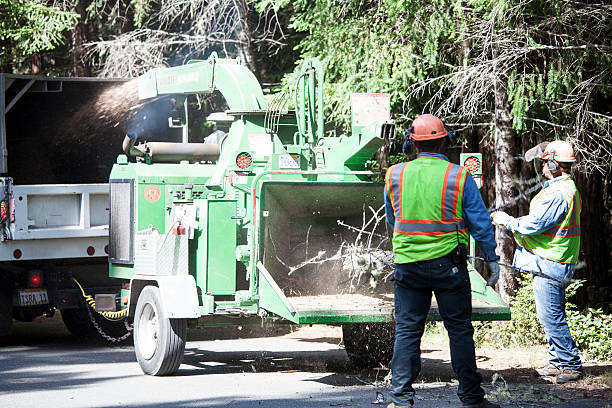 Mulching Services in Fort Valley, GA