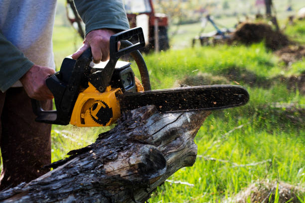 Best Storm Damage Tree Cleanup  in Fort Valley, GA